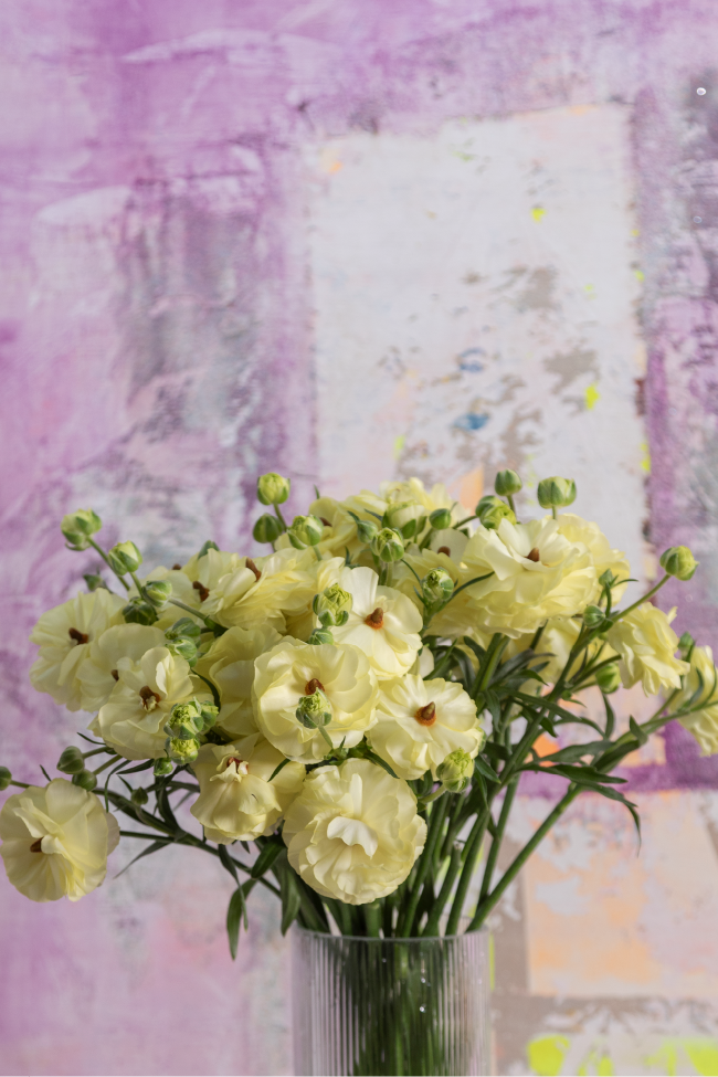 #color_limoncello #detail