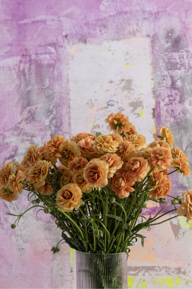 #color_miele #detail