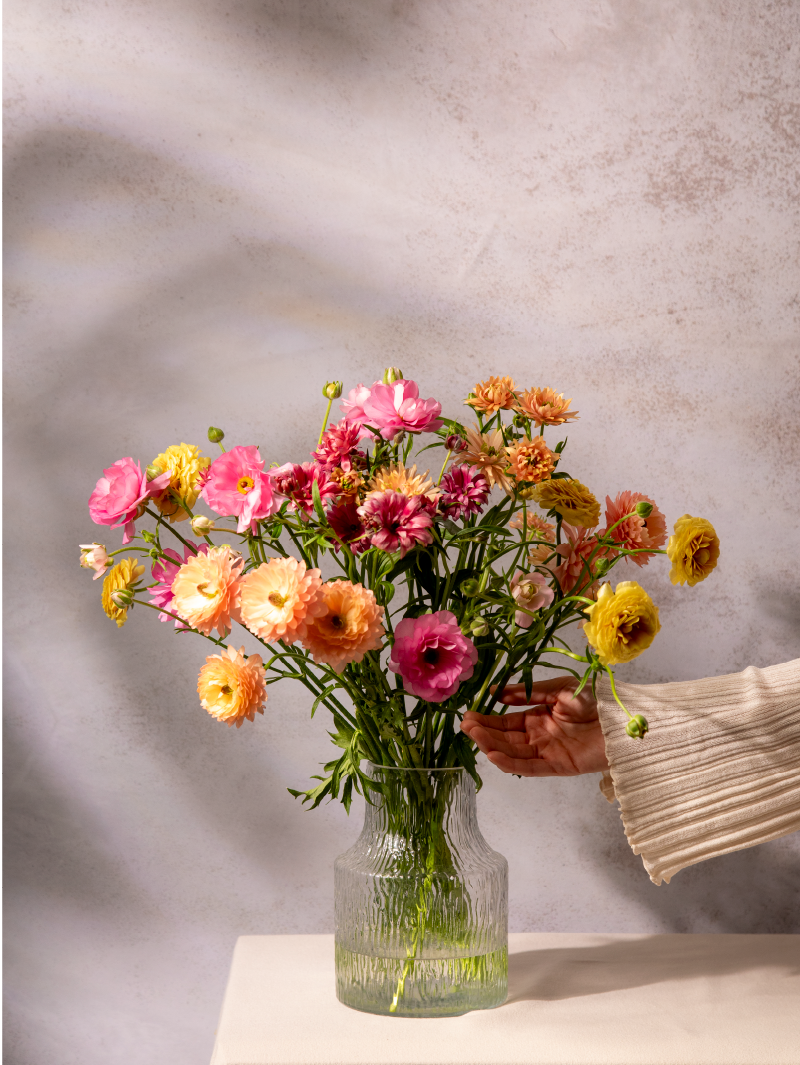 Natura Moderna Ranunculus