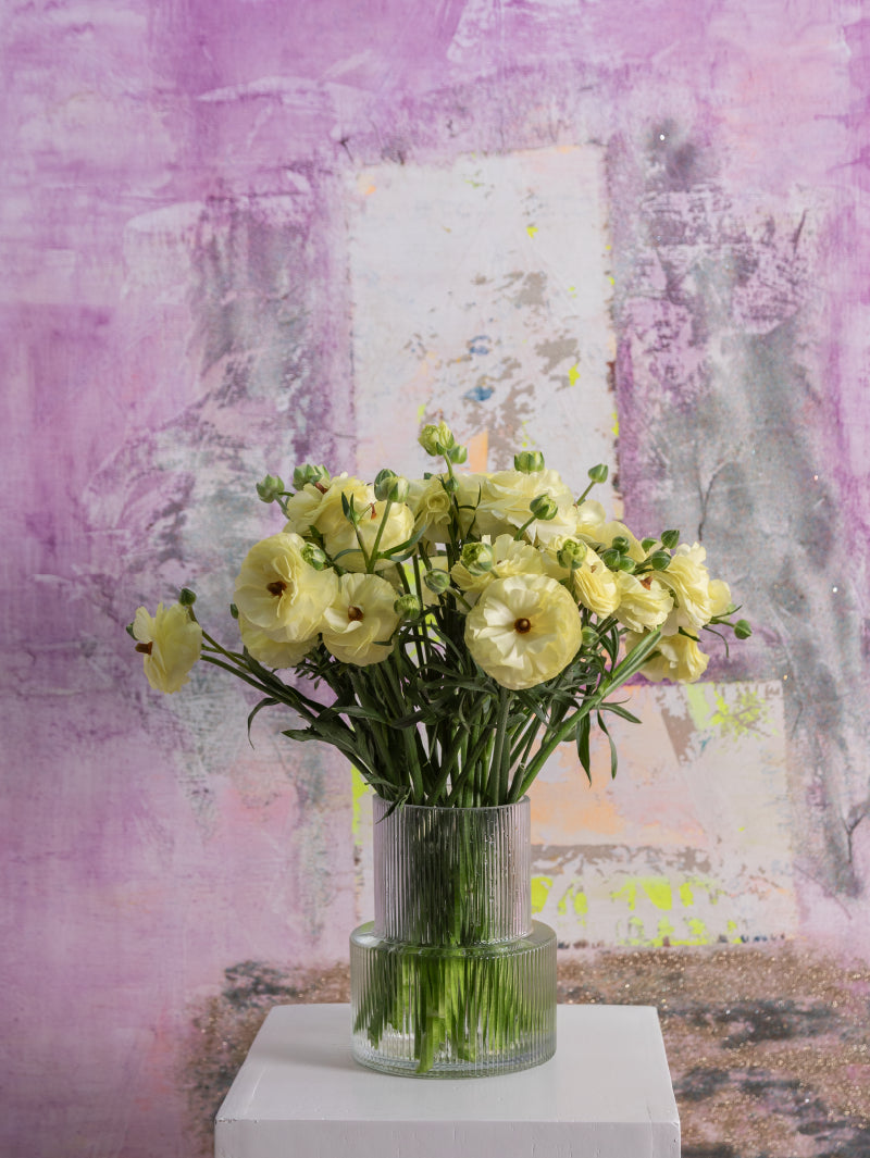 Bouquet of cream natura moderna ranunculus arranged in a glass vase on a light background.
#color_limoncello