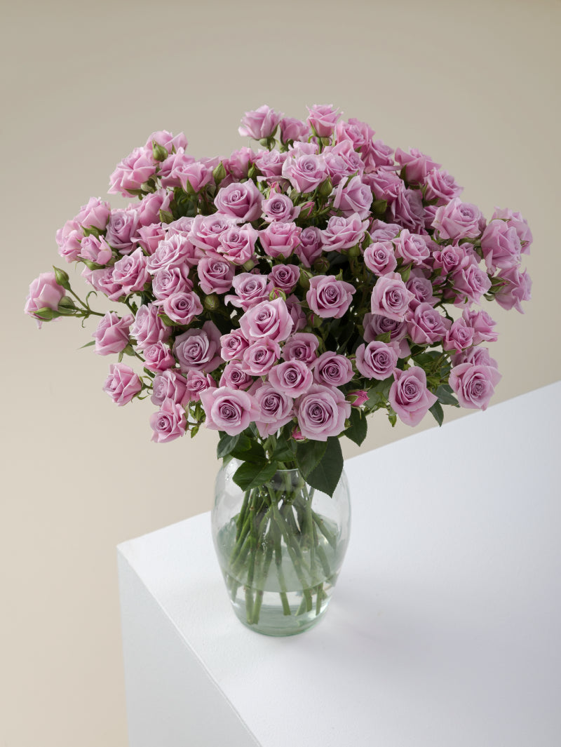 Bouquet of lavender spray roses arranged in a glass vase on a light background.
#color_lavender
