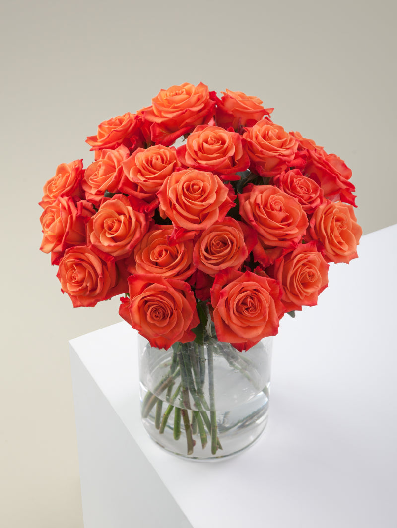 Bouquet of orange roses arranged in a glass vase on a light background.
#color_orange