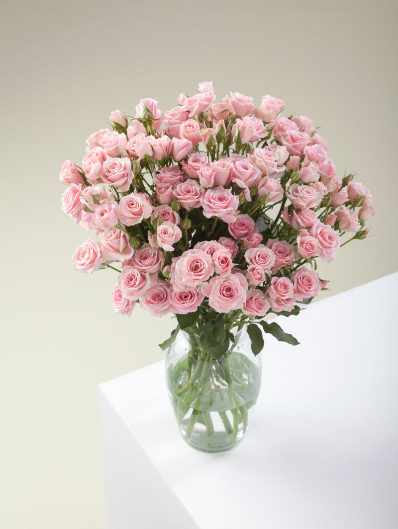 Bouquet of pink spray roses arranged in a glass vase on a light background.
#color_pink
