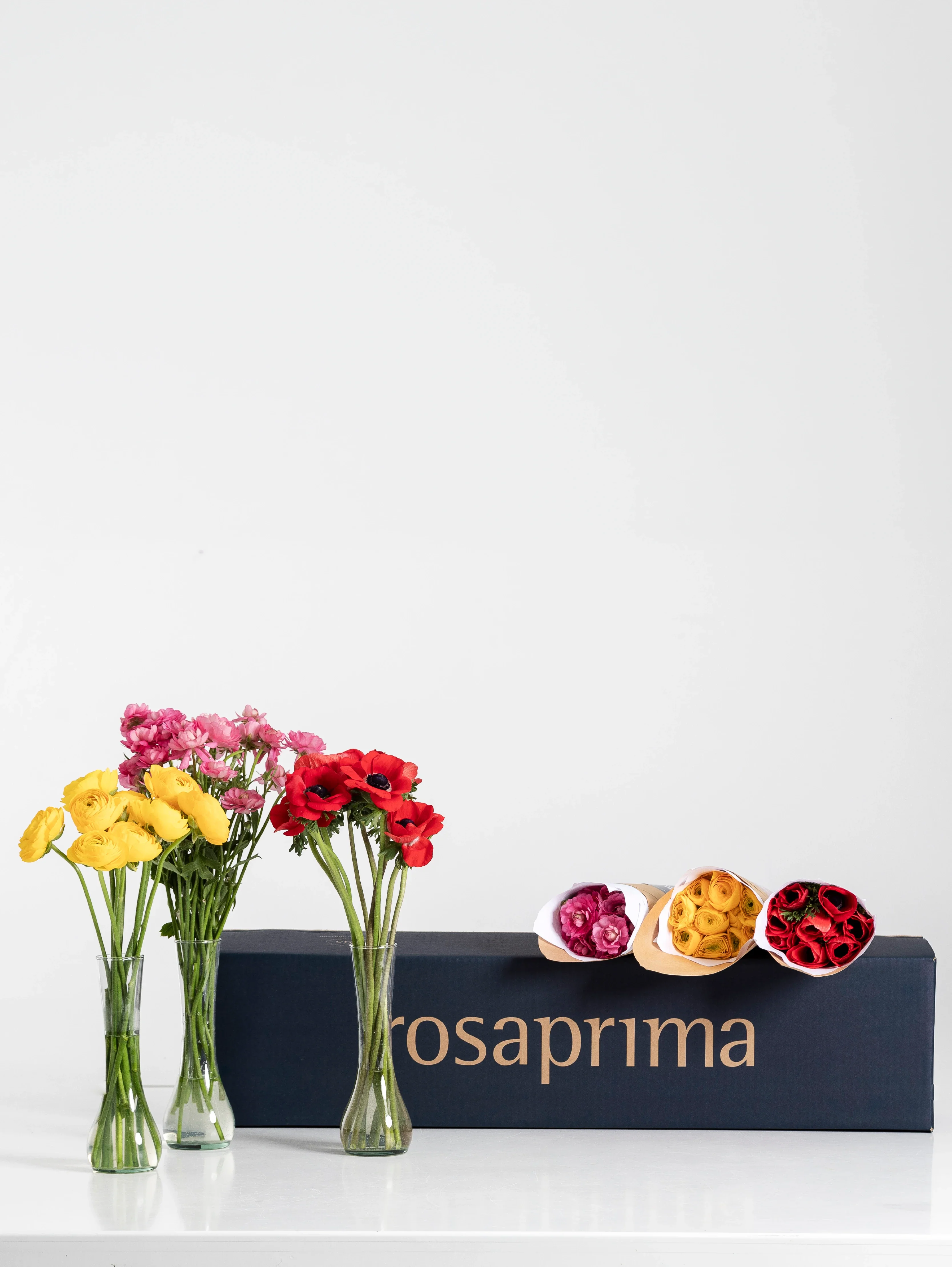 Three vases with flowers (yellow ranunculus, pink natura moderna ranunculus, and red mistral anemones) and a Rosaprima product box display on a white background.