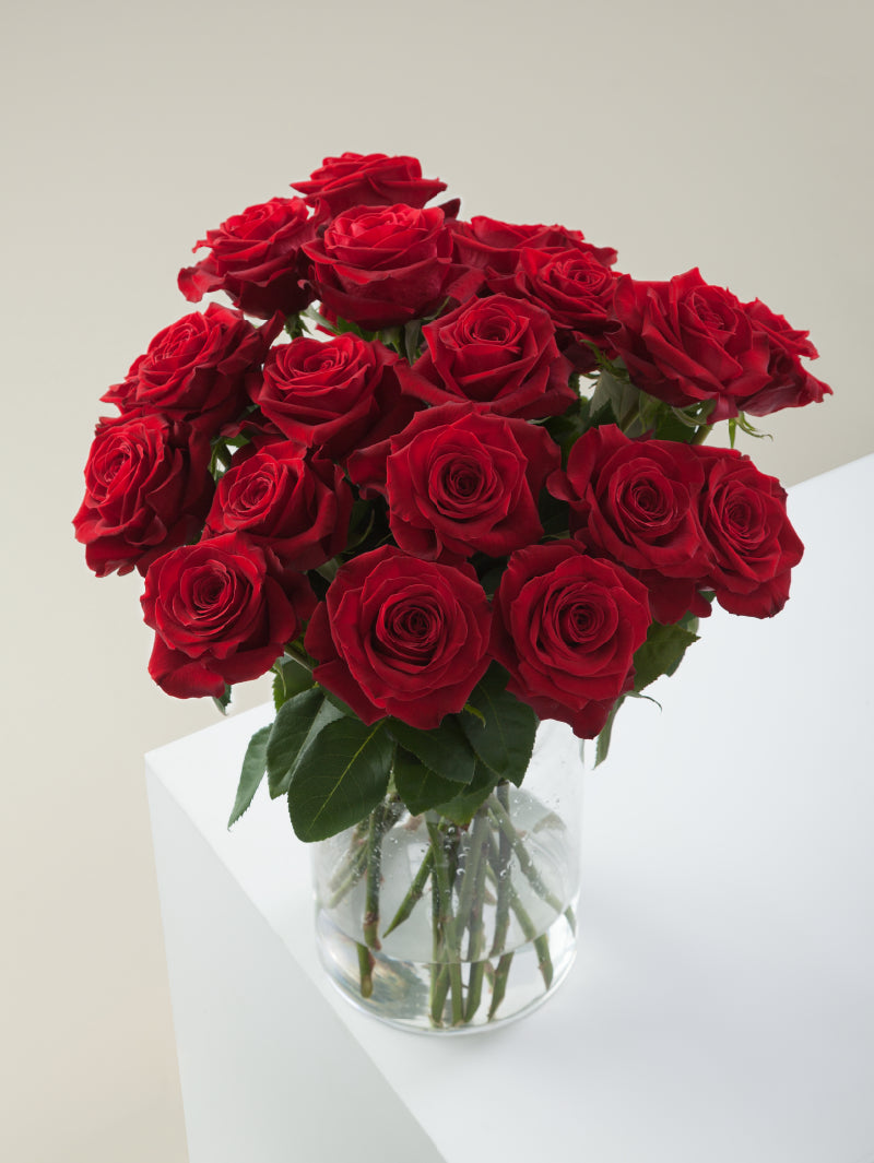 Bouquet of red roses arranged in a glass vase on a light background.
#color_red