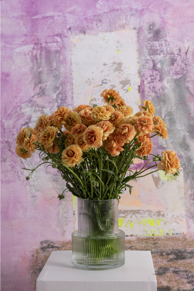Bouquet of yellow natura moderna ranunculus arranged in a glass vase on a light background.
#color_miele #detail
