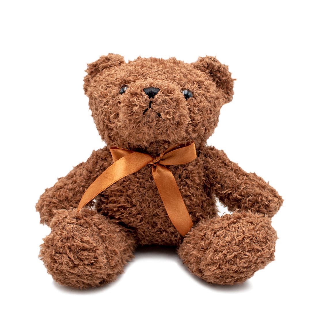 Petite amie / femme Cadeau Peluche Super Soft Teddy Bear