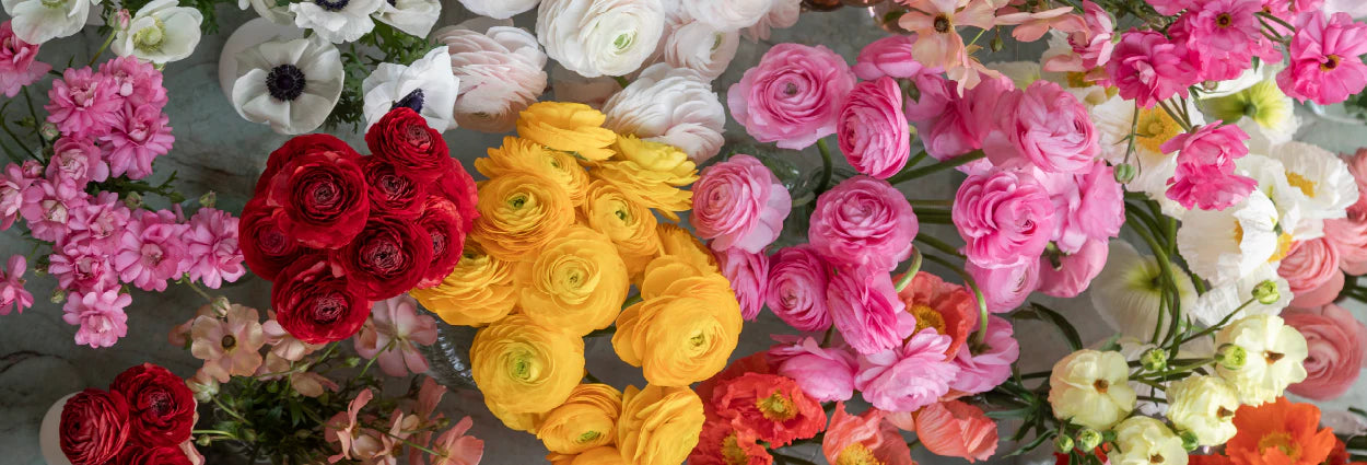 Specialty Flowers