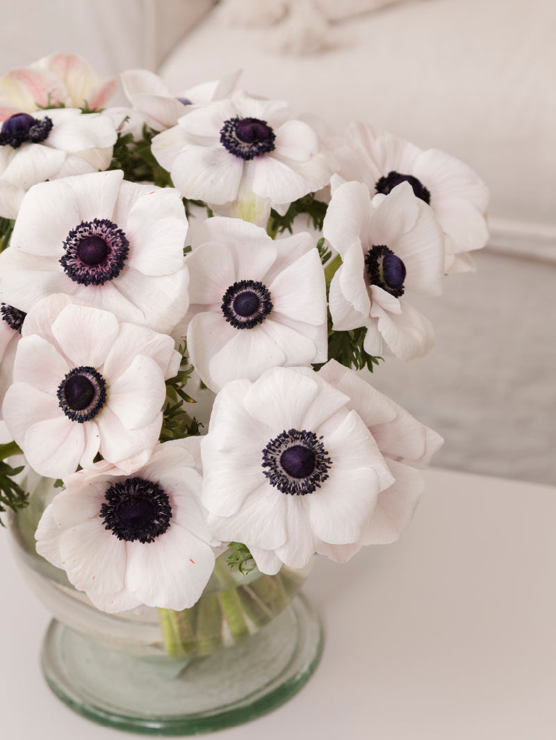 #color_panda #detail