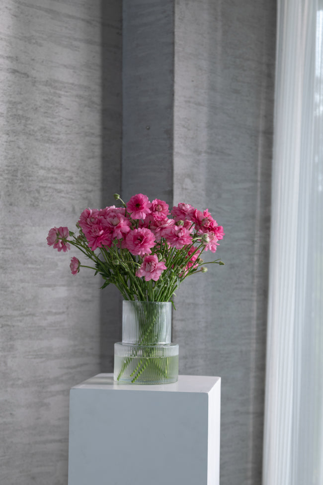 #color_dolce #detail