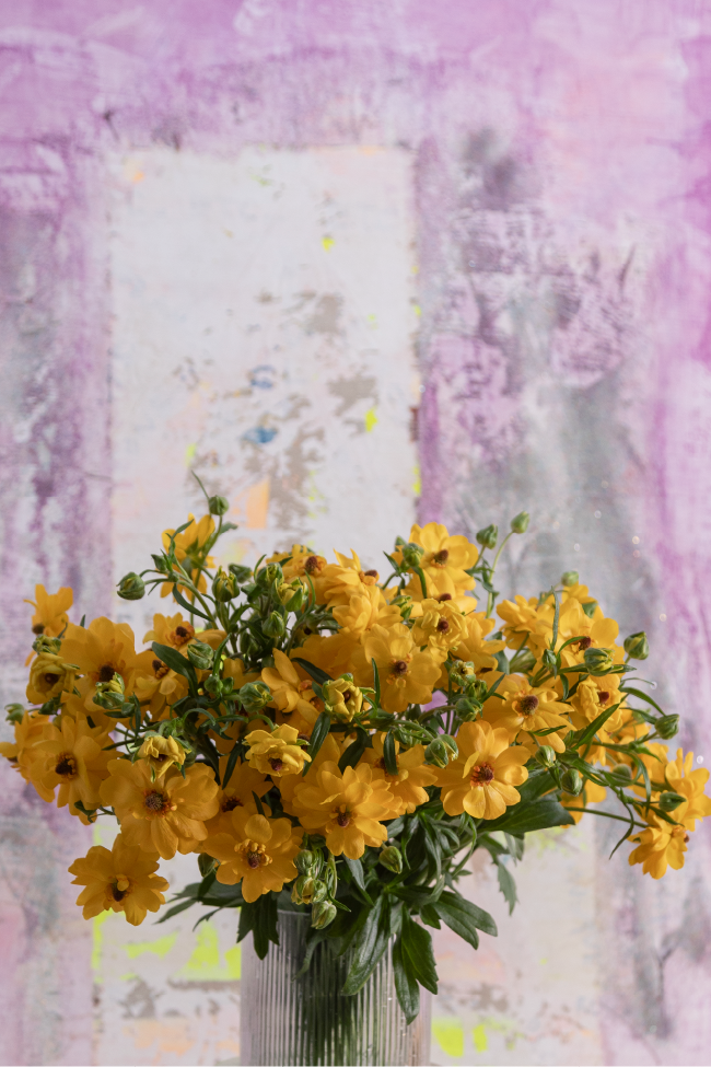 #color_sorrento #detail