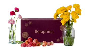 Bulk Box Ranunculus/Anemones
