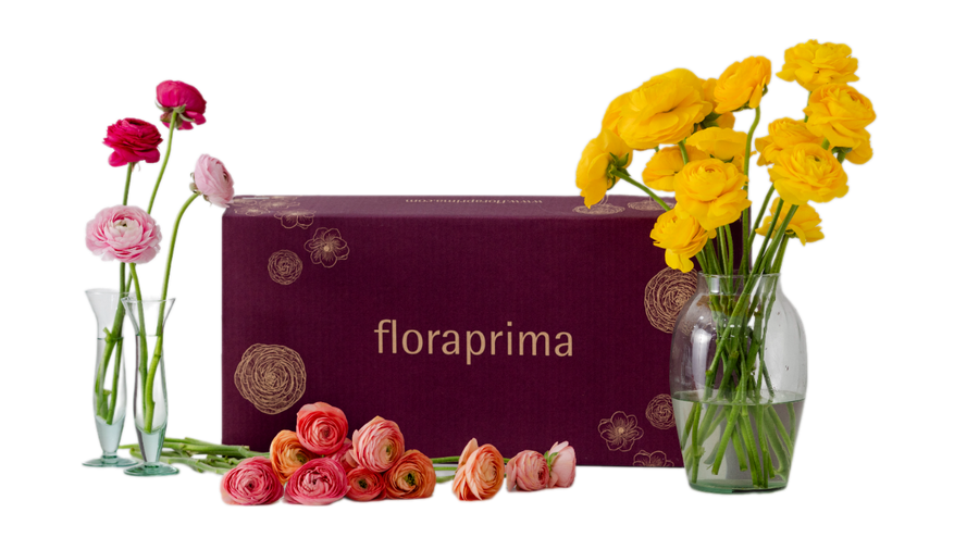 Bulk Box Ranunculus/Anemones