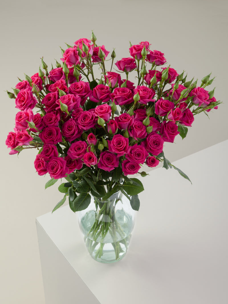 Bouquet of hot pink spray roses arranged in a glass vase on a light background.

#color_hot pink
