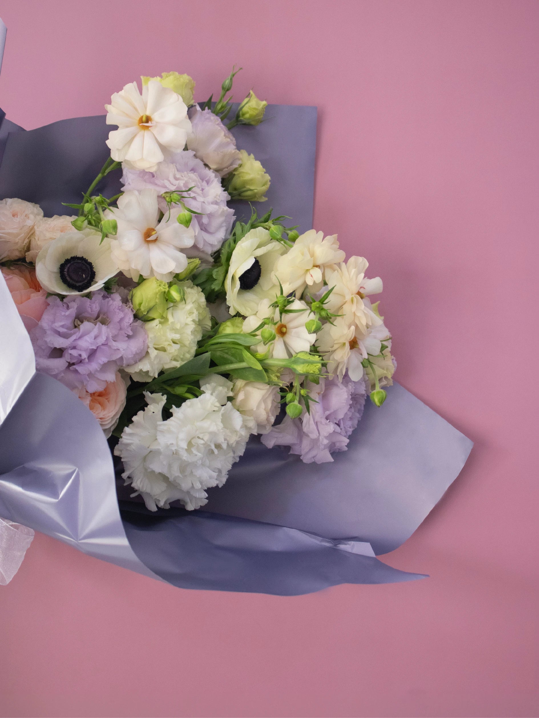 Bouquet of flowers wrapped in purple paper on a pink background.