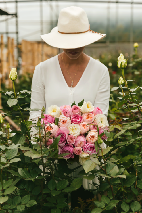 Person holding a bouquet of pink and white garden roses in a greenhouse setting.

#color_garden #detail
