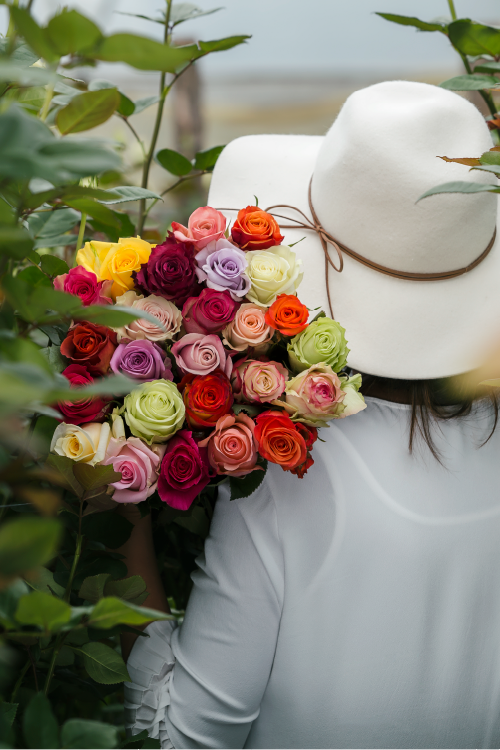 Person wearing a white hat and holding a colorful bouquet of roses outdoors.

#color_standard #detail
