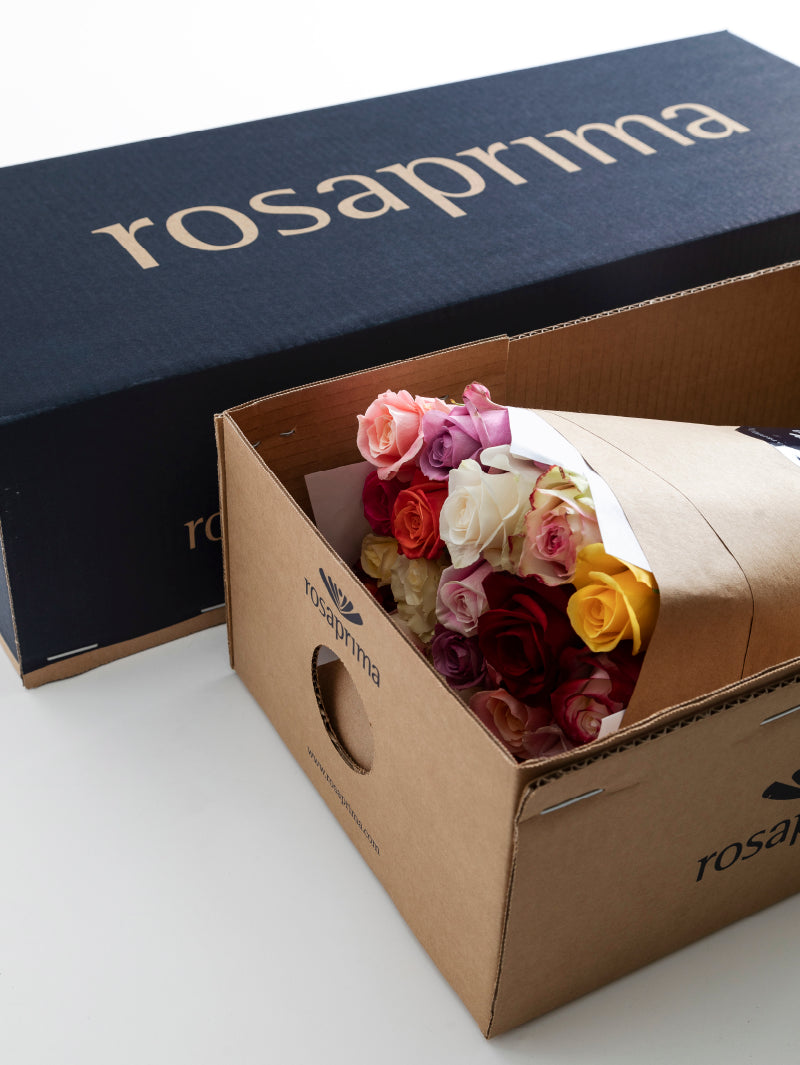Bouquet of rosaprima roses in a Rosaprima box on a white background.

#color_standard