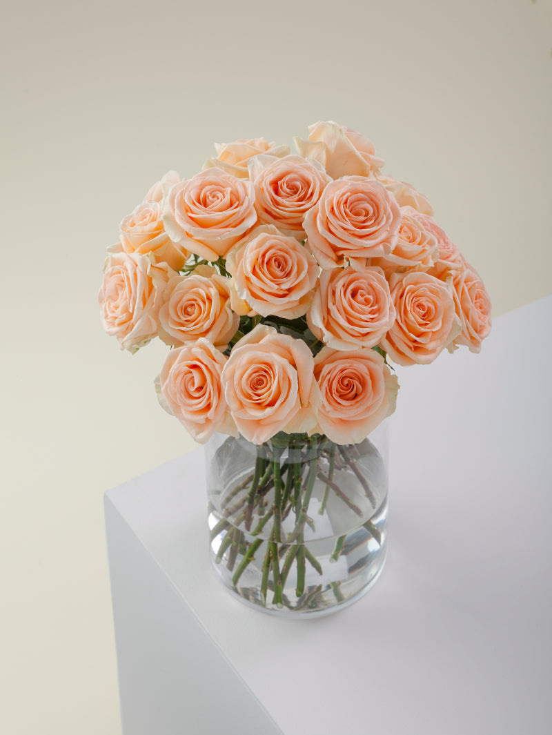 Bouquet of peach roses arranged in a glass vase on a light background.

#color_peach