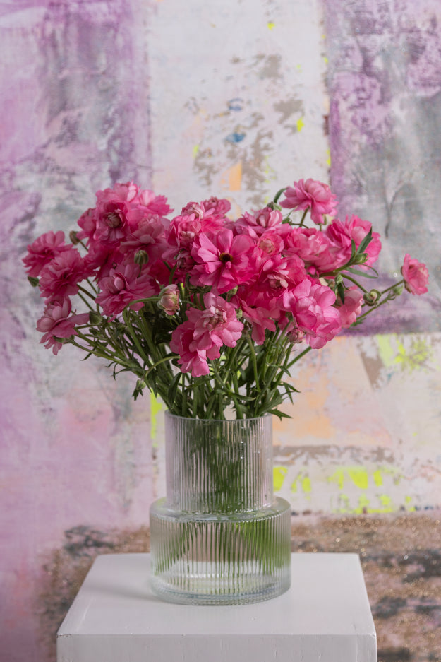 Bouquet of pink natura moderna ranunculus arranged in a glass vase on a light background.

#color_dolce #detail