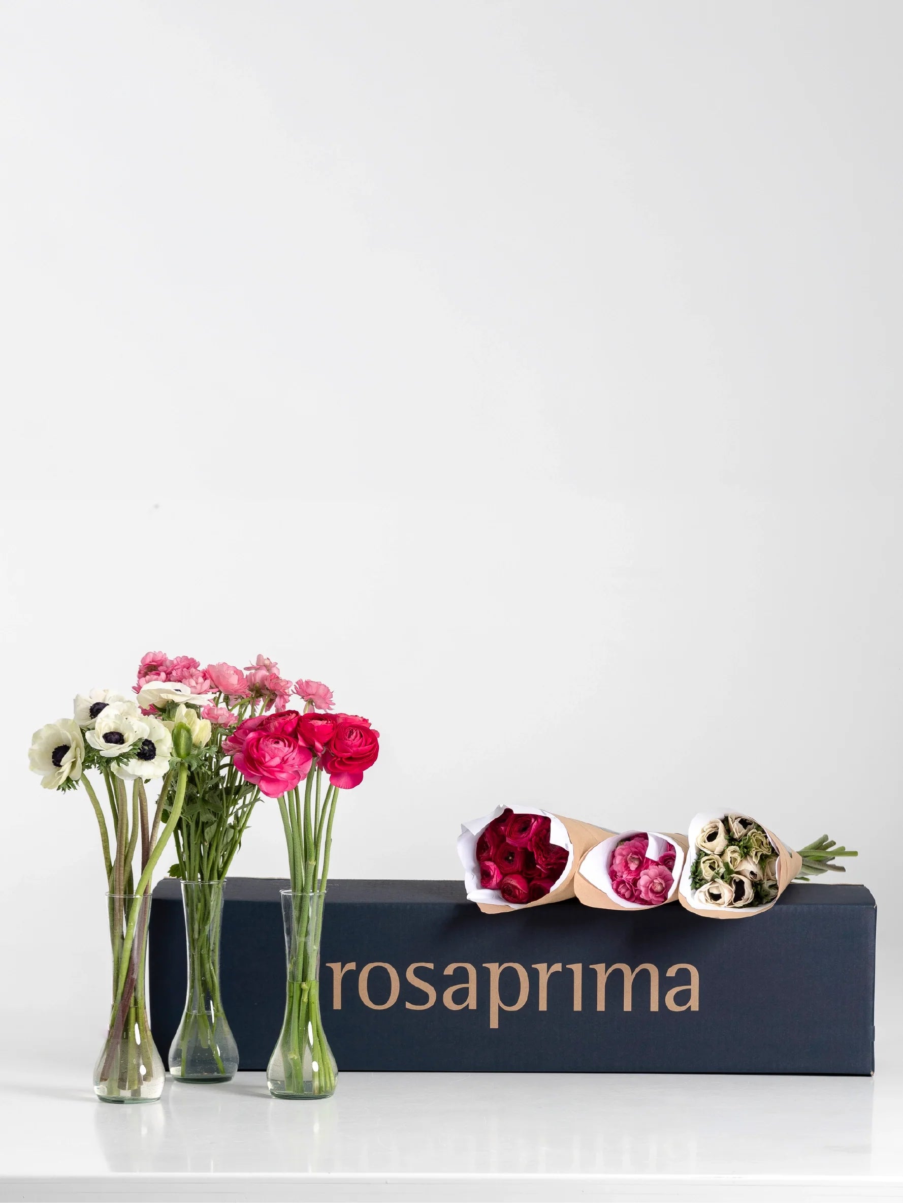 Three vases with flowers (hot pink ranunculus, pink natura moderna ranunculus, and white mistral anemones) and a Rosaprima product box display on a white background.