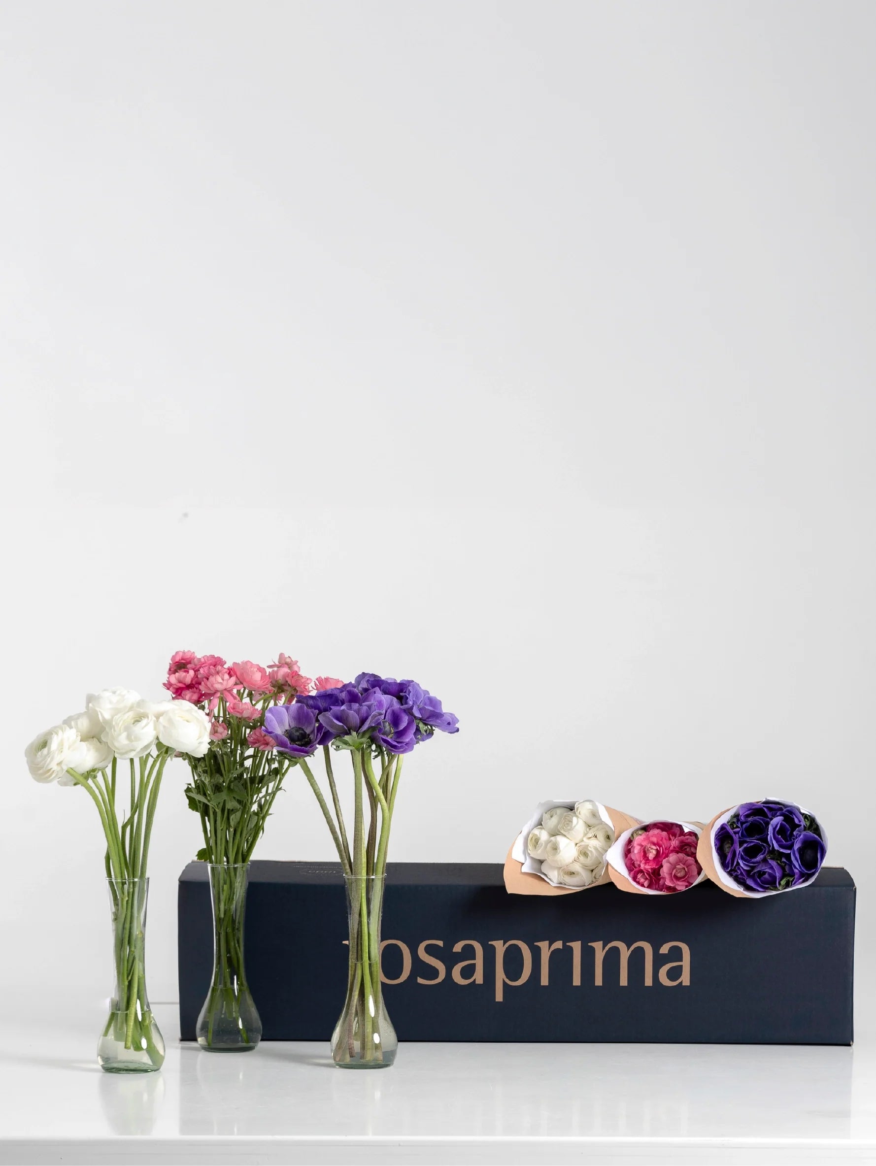 Three vases with flowers (white ranunculus, pink natura moderna ranunculus, and lavender mistral anemones) and a Rosaprima product box display on a white background.