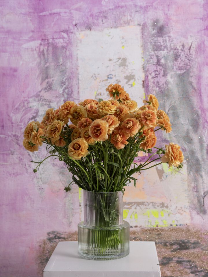 Bouquet of yellow natura moderna ranunculus arranged in a glass vase on a light background.

#color_miele