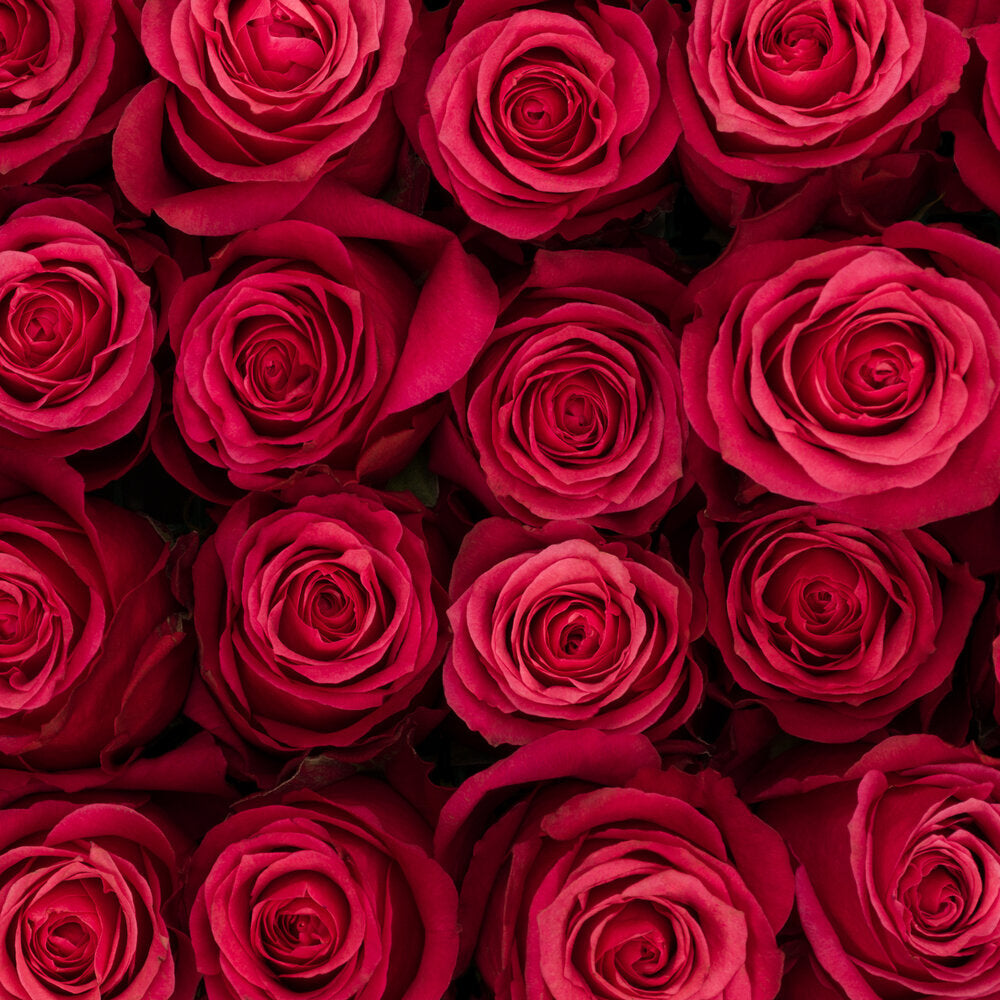 Subscription Bulk Box – FriendsandFamily-Rosaprima